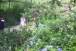 resIMG_20120709_2128.JPG